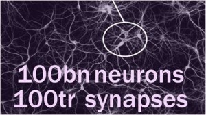 Billions of neurons, with trillions of connections